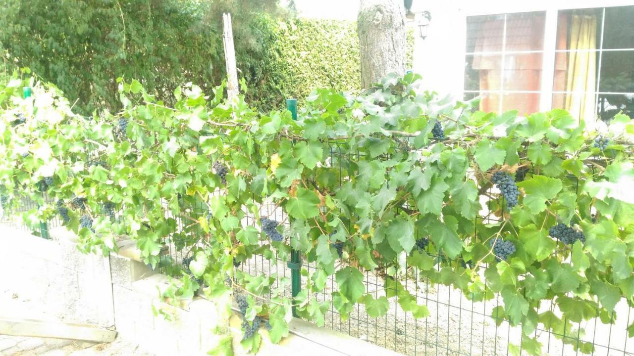 Suita U Toma Vestec  Dış mekan fotoğraf